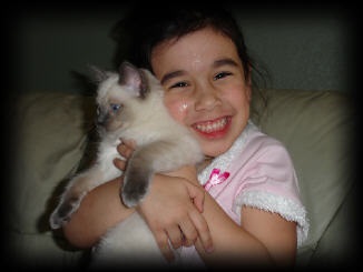 Girl cuddling with a ragdoll for adoption with huge smile.